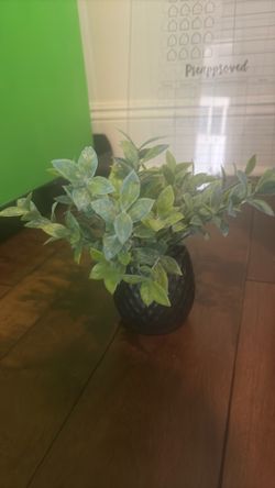 Faux plant and pot