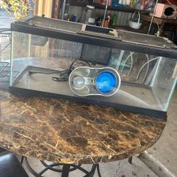 Reptile Tank And Heat Lamp