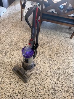Vacuum Dyson Ball Animal