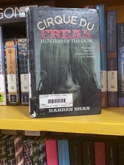 Chapter books
