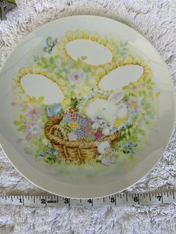 Porcelain Collection Plates