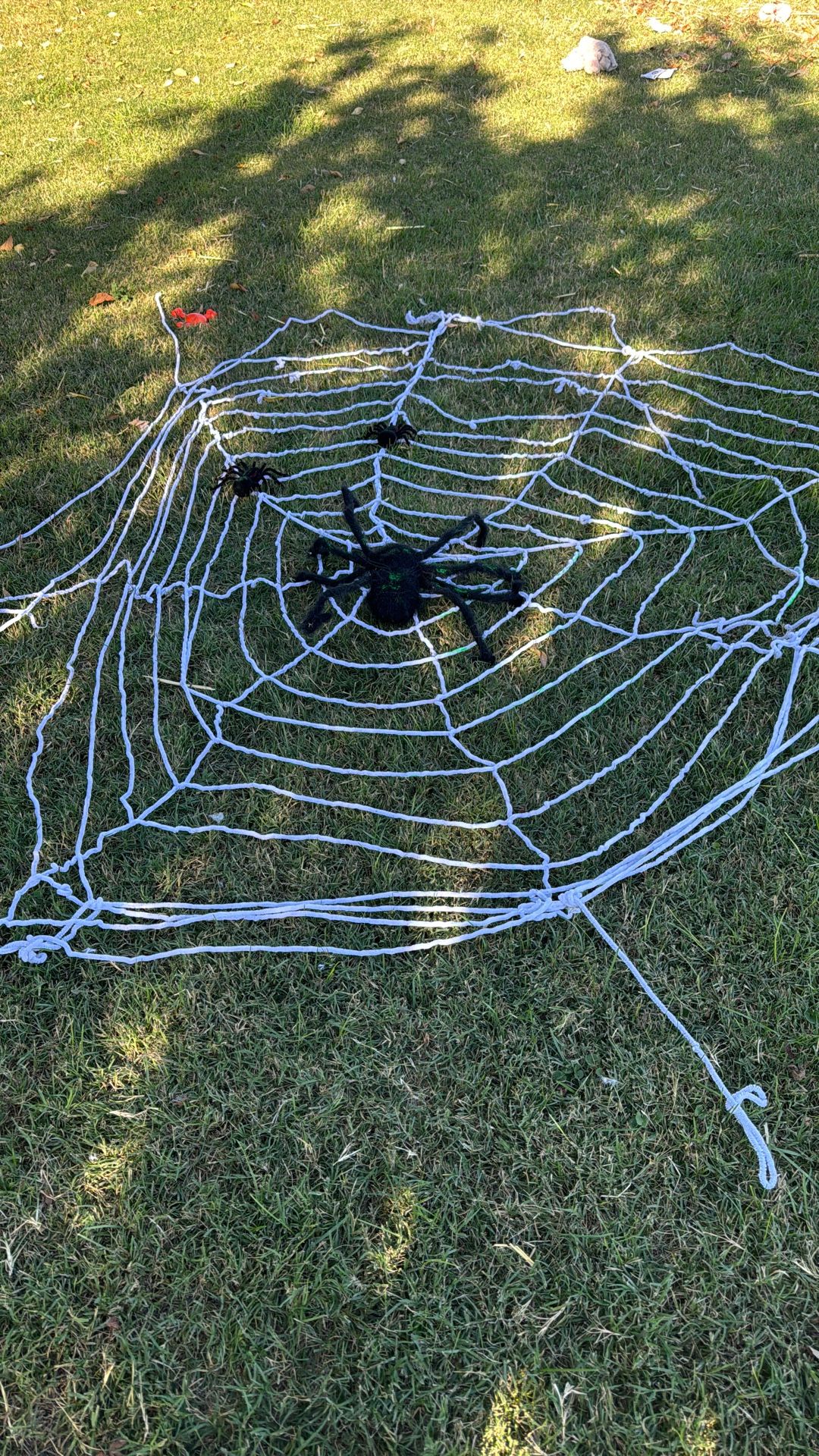 Stretchy Spider Web Plus Spider 