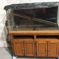 90 Gallon Tank