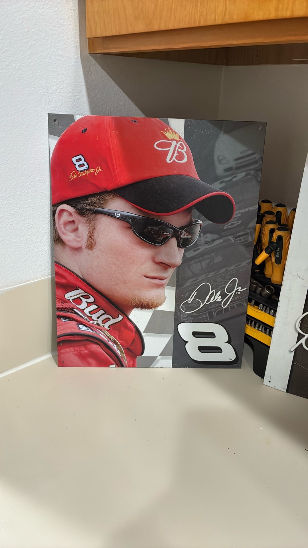 Dale Earnhardt Jr #8 Tin Poster