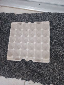 Carton de huevos