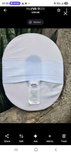 Donut Tailbone Pillow Seat