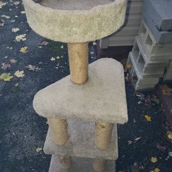 Cat Playing Tower