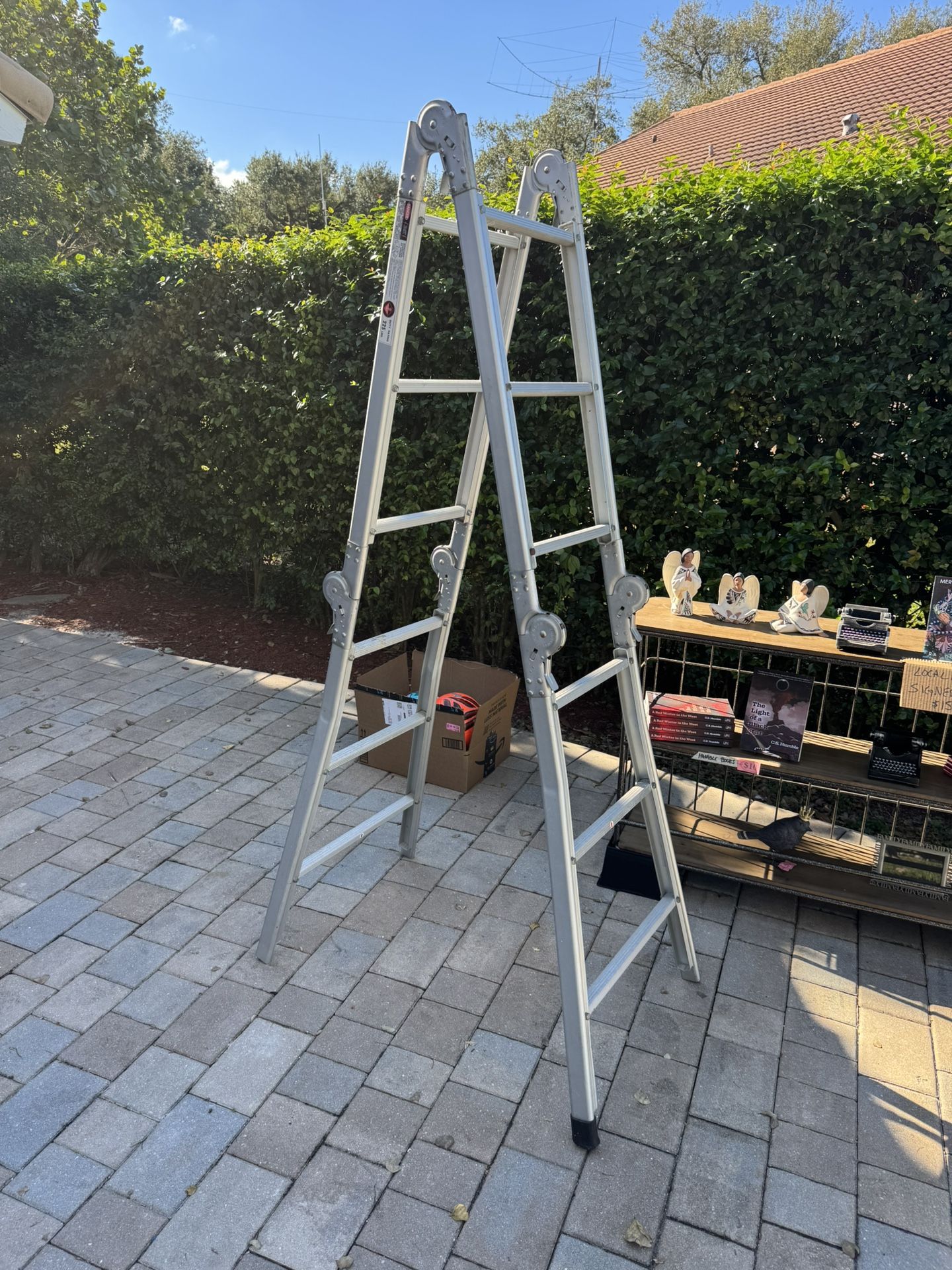 12 Ft Ladder