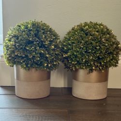 Set Of Greenery In Gold Vases