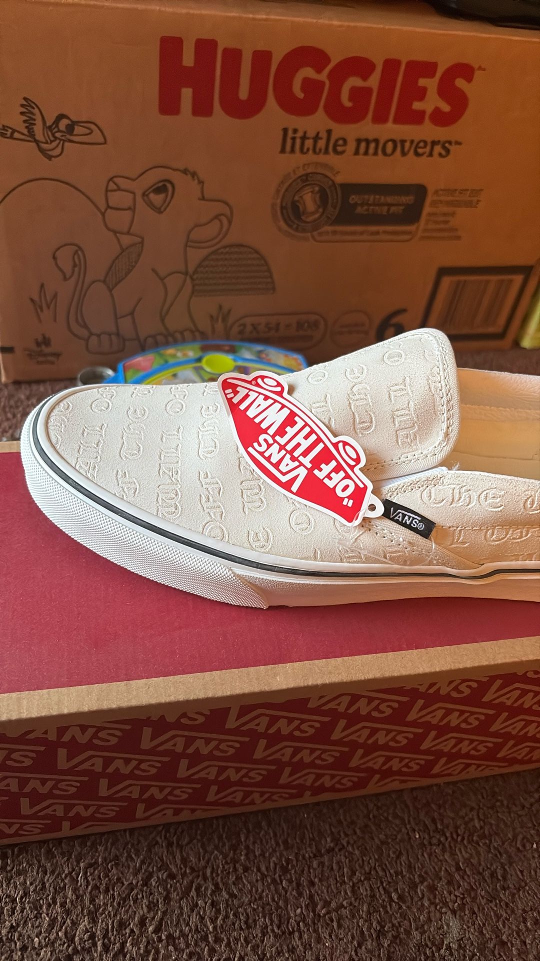 Vans Slip Ons