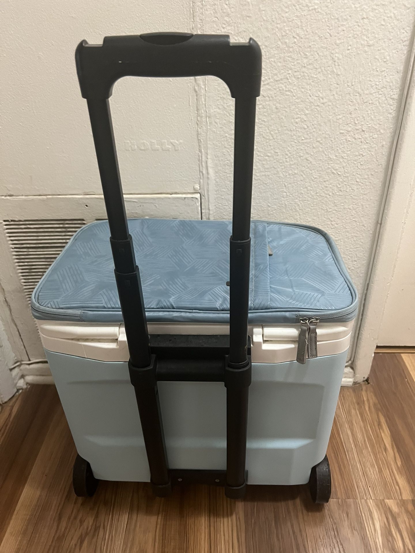 Igloo 28 Q Cooler.