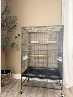 Bird Cage
