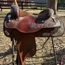 Circle Y Equitation/Pleasure Saddle