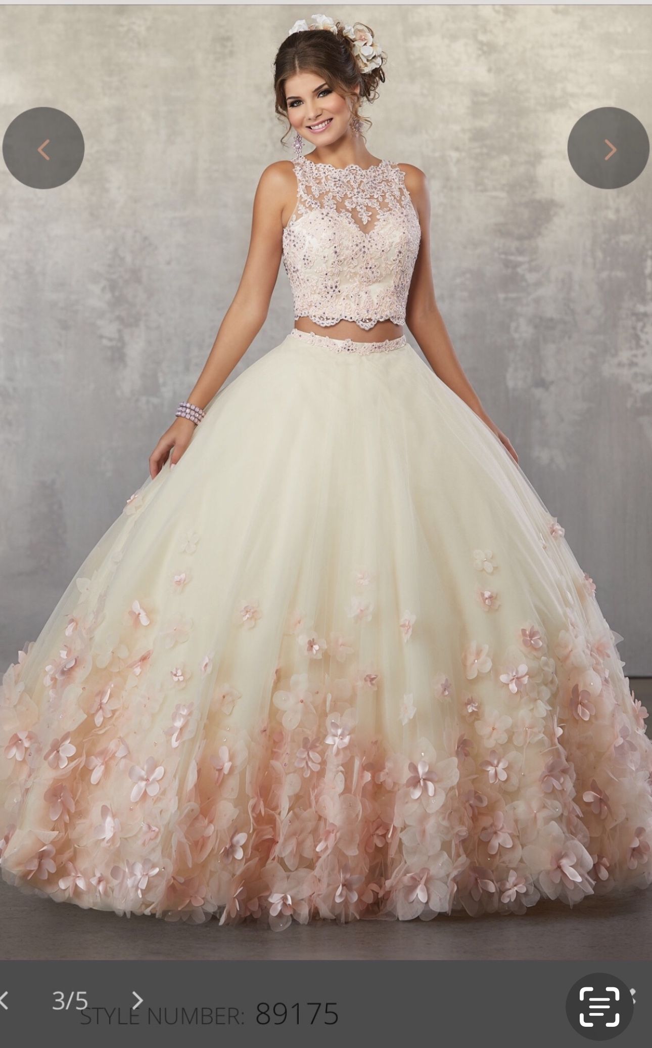 QuinceaƱera Dress