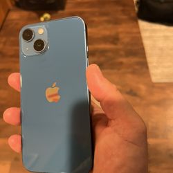iPhone 13 - 256 GB