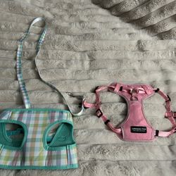 Medium Dog Harnesses
