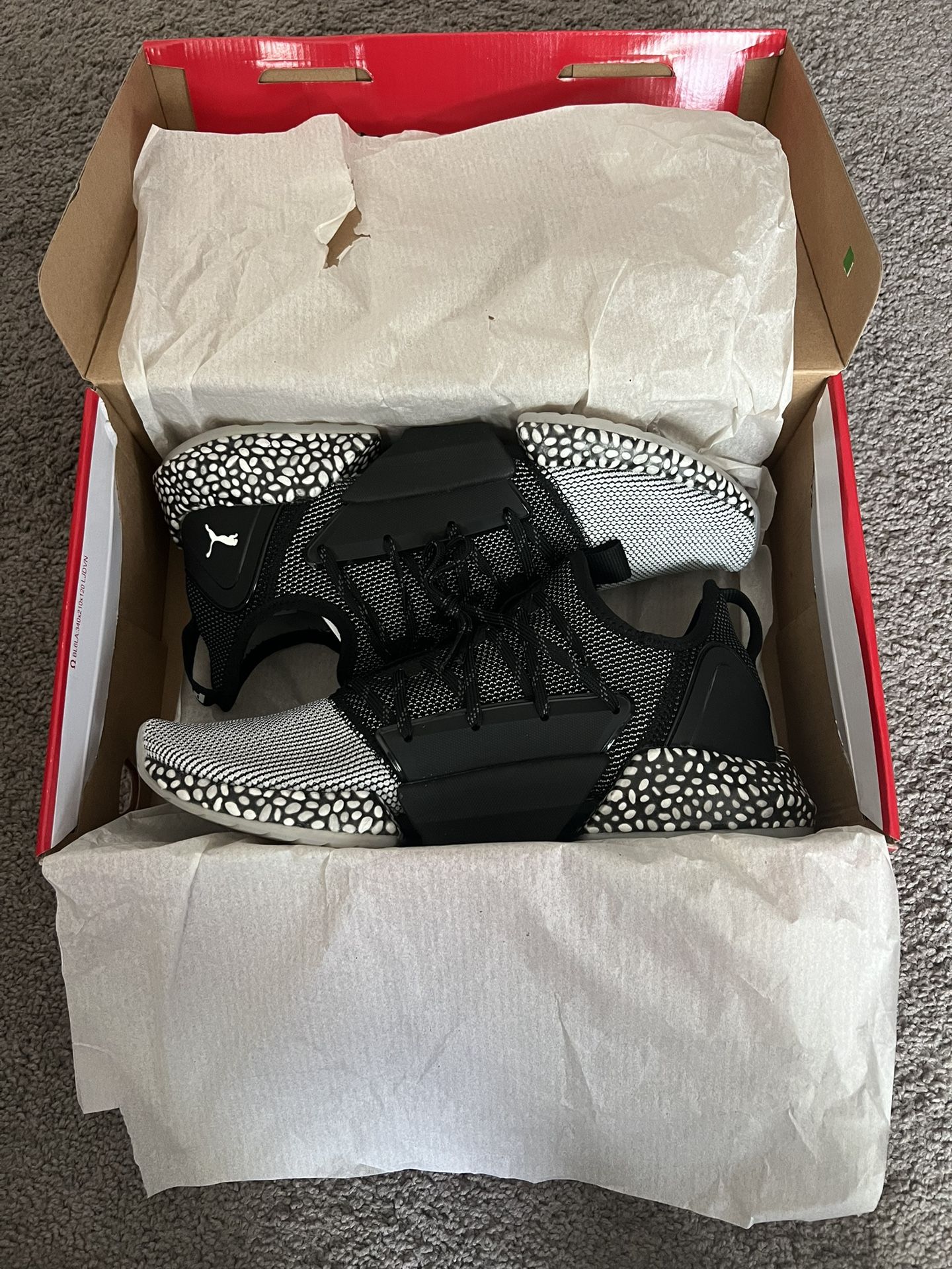 Puma Hybrid Rocket Runner