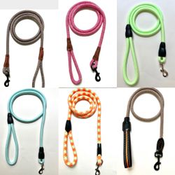Variety Dog Leashes CLEARANCE 