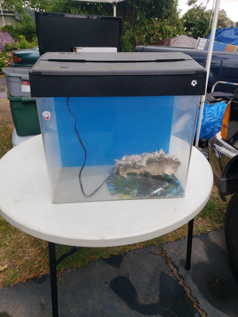 Fish Tank