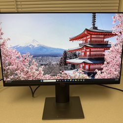 Dell 24” Monitor P2419H