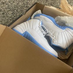 Jordan 12s Brand New blue and white 9.5