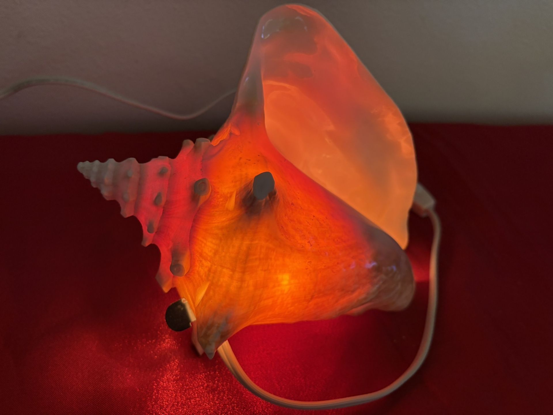 Beach Seashell Night light - Simi Valley