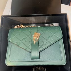 Green Aldo purse 