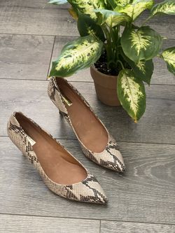 Snakeskin Heels size 8.5
