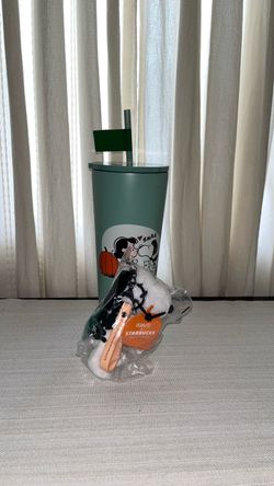 Starbucks penuts snoopy cup , Starbucks snoopy keychain