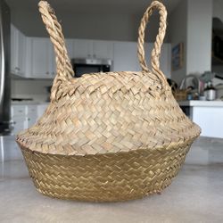 Mini Sea grass Basket/plant holder (price is firm)