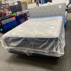 Queen Size Bedframe $99