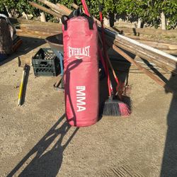 MMA Punching bag