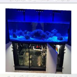 near nature Massive Aquarium Tank - Wide & Stunning Display