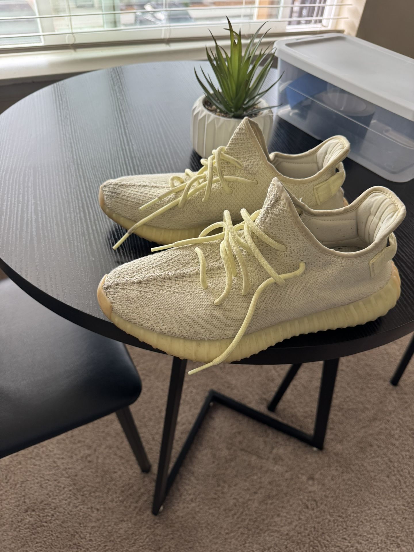 Yeezy Size 10