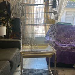 Bird Cage 