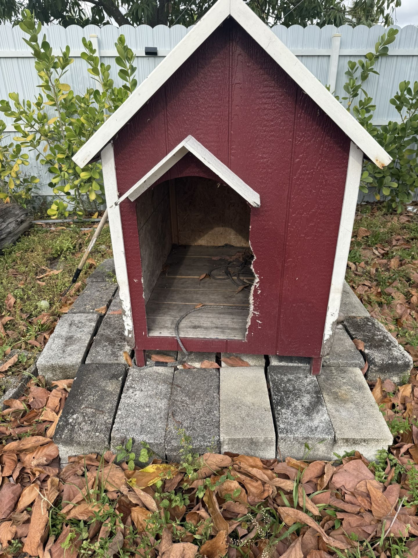 Dog House