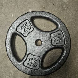 25 Pound Weight Plate 