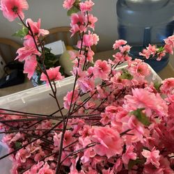 Cherry Blossom Stems 