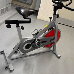 Sunny Excercise Bike