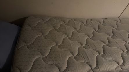 Twin sealy matress