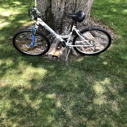 26” Schwinn Mountain Bike (step Over)