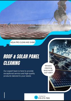 Solar Panel & Roof Cleaning