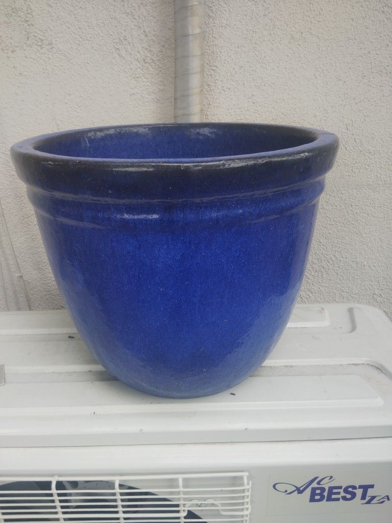 Flower Pot