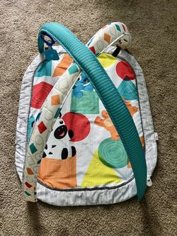 Baby Einstein Play Gym