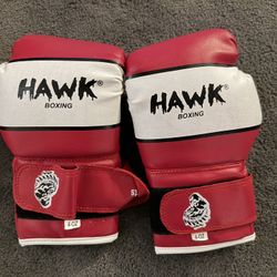 Kids Boxing Gloves 