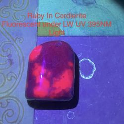 Ruby in Cordierite Polished Stone from India 31g Fluorescent RARE