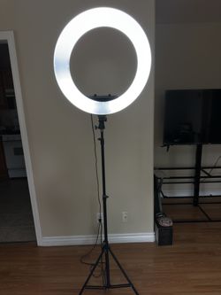 22” Ring Light