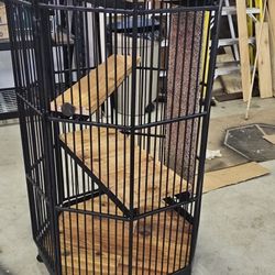 Catio  