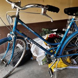Schwinn world tour three speed