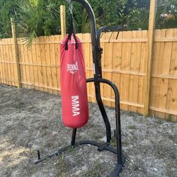 Standing Punching Bag 